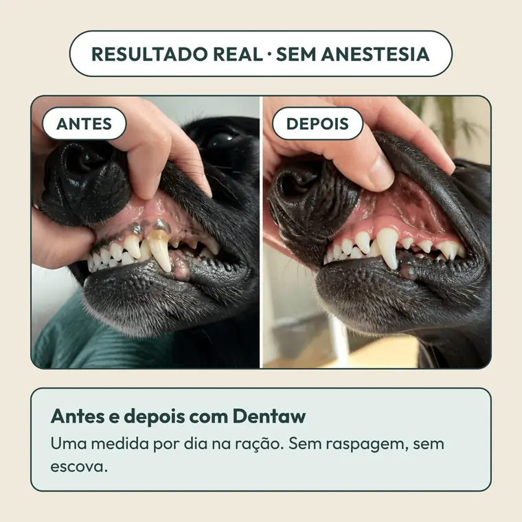 Antes e depois com Dentaw