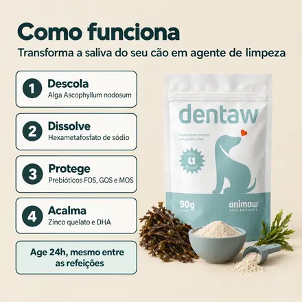 Como o Dentaw funciona