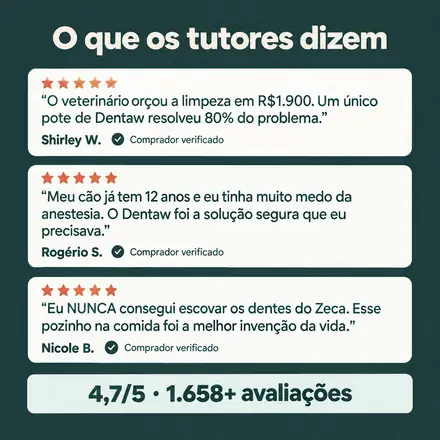 Avaliações de tutores